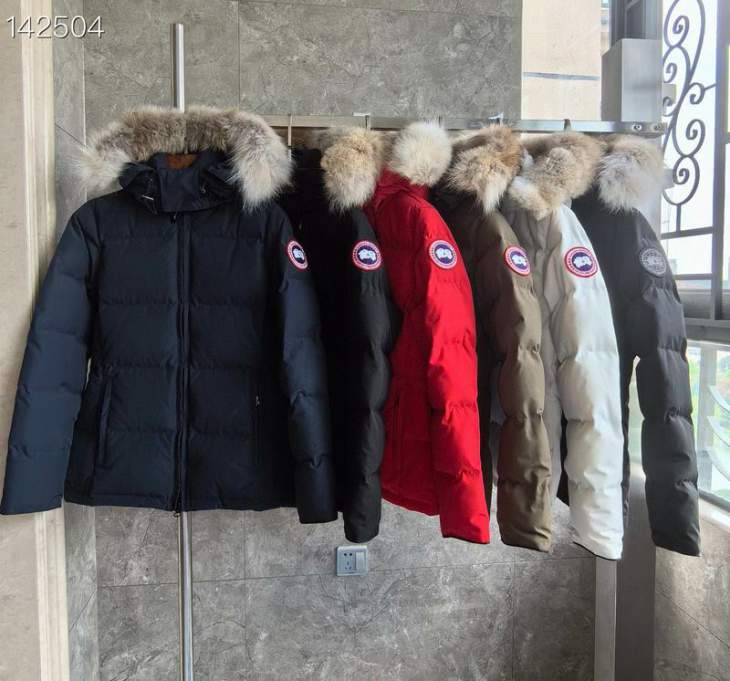 Picture of Canada Goose Down Jackets _SKUCanadaGooseS-XL26yr4137864